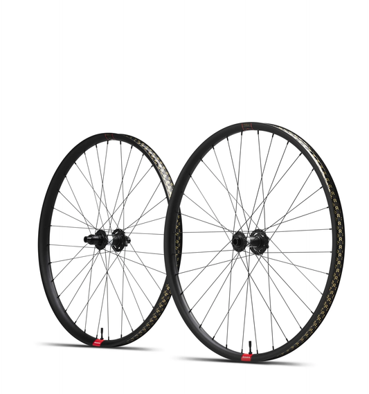 RESERV 30 29" WHEELSET -  DT 350 110 XD 6b SET